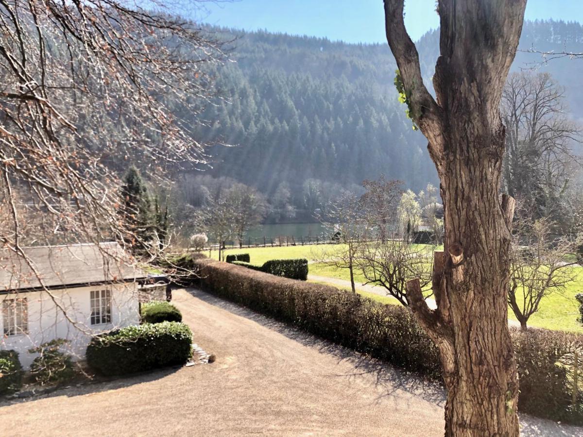 Ferienwohnung Weingut Villa Huesgen Am Moenchhof 特拉本特拉巴赫 外观 照片